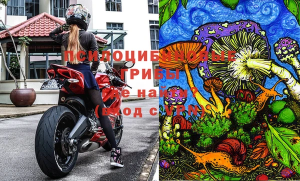 соль курить ск Алексеевка
