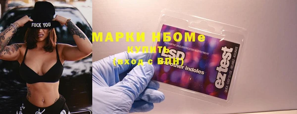 мет Алексин
