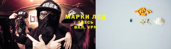 мет Алексин