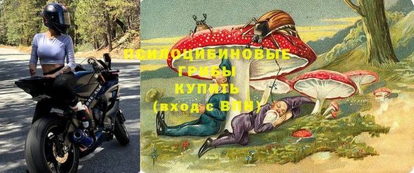 мет Алексин