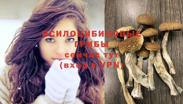 соль курить ск Алексеевка
