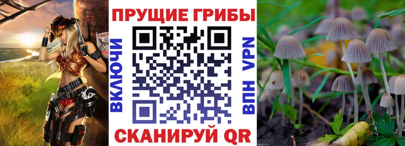Псилоцибиновые грибы прущие грибы  Нижняя Салда 